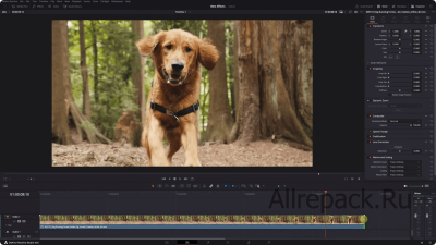 DaVinci Resolve Studio 19