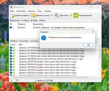 программа для переименования файлов